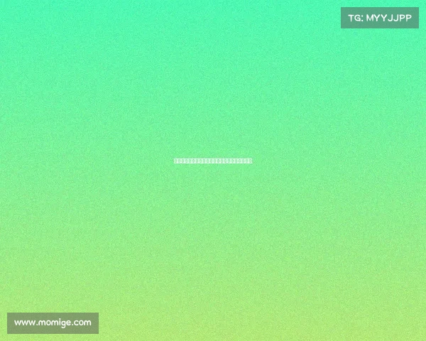 阿森纳旧将阿尔芒特拉奥雷的时代回忆与传奇轨迹